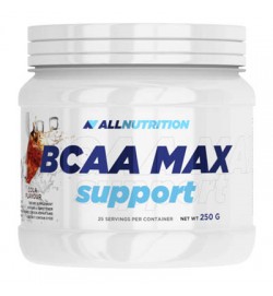 BCAA MAX SUPPORT 250 g ALLNUTRITION